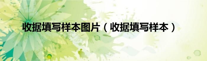 收据怎么写 样本图片_样本收据写图片怎么弄_收据样本金额